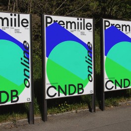 Daniel & Andrew Design Advisory